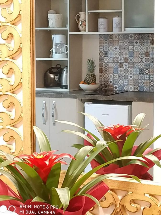 Apartment Elimia &